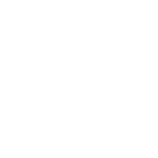 Translateskg white Logo